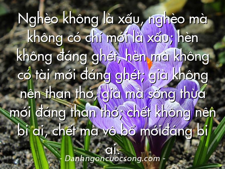 Nghèo không là xấu, nghèo mà không có chí mới là xấu; hèn không đáng ghét, hèn mà không có tài mới đáng ghét; già không nên than thở, già mà sống thừa mới đáng than thở; chết không nên bi ai, chết mà vô bổ mớiđáng bi ai.