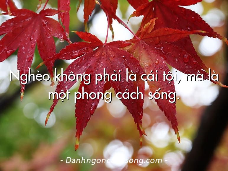 Nghèo không phải là cái tội, mà là một phong cách sống.