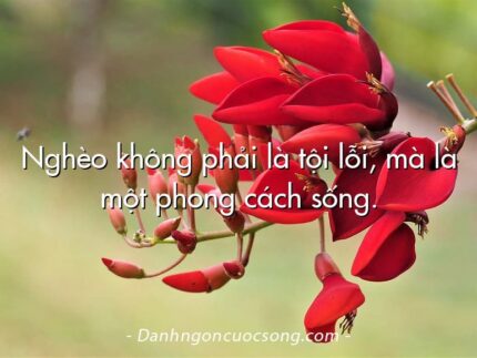 Nghèo không phải là tội lỗi, mà là một phong cách sống.