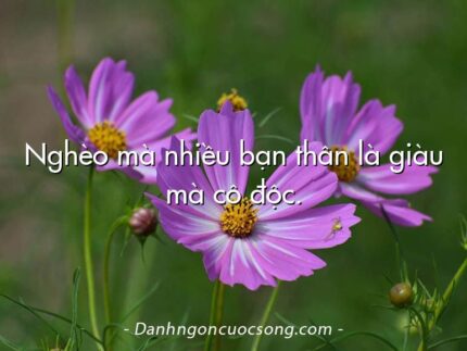Nghèo mà nhiều bạn thân là giàu mà cô độc.