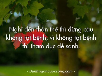 Nghĩ đến thân thể thì đừng cầu không tật bệnh, vì không tật bệnh thì tham dục dễ sanh.