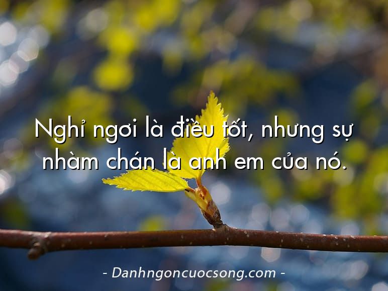 Nghỉ ngơi là điều tốt, nhưng sự nhàm chán là anh em của nó.