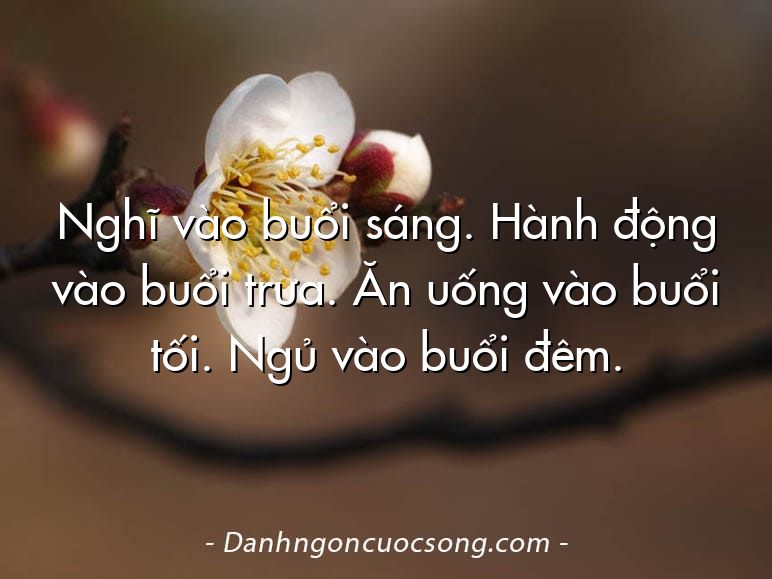 Nghĩ vào buổi sáng. Hành động vào buổi trưa. Ăn uống vào buổi tối. Ngủ vào buổi đêm.