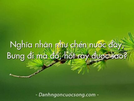Nghĩa nhân như chén nước đầy, Bưng đi mà đổ, hốt rày được sao?