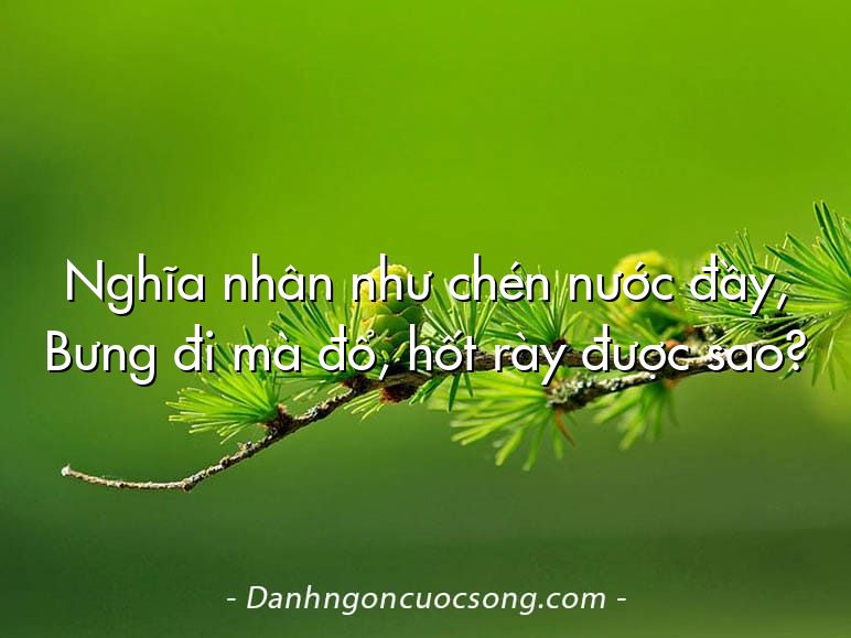 Nghĩa nhân như chén nước đầy, Bưng đi mà đổ, hốt rày được sao?