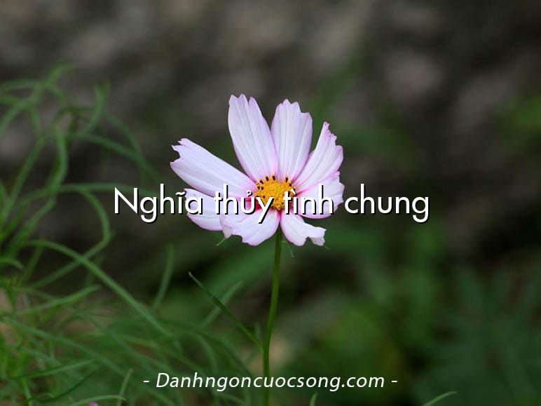Nghĩa thủy tình chung