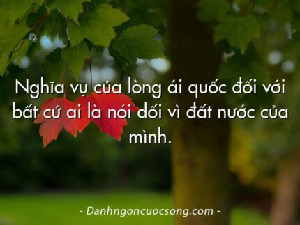 Nghĩa vụ của lòng ái quốc đối với bất cứ ai là nói dối vì đất nước của mình.