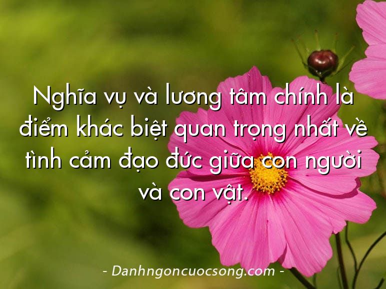 Nghĩa vụ và lương tâm chính là điểm khác biệt quan trọng nhất về tình cảm đạo đức giữa con người và con vật.