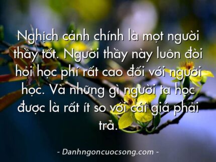 Nghịch cảnh chính là mọt người thầy tốt. Người thầy này luôn đòi hỏi học phí rất cao đối với người học. Và những gì người ta học được là rất ít so với cái giá phải trả.