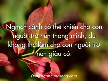 Nghịch cảnh có thể khiến cho con người trở nên thông minh, dù không thể làm cho con người trở nên giàu có.
