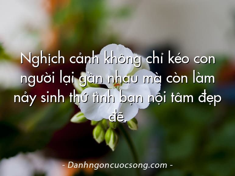 Nghịch cảnh không chỉ kéo con người lại gần nhau mà còn làm nảy sinh thứ tình bạn nội tâm đẹp đẽ.
