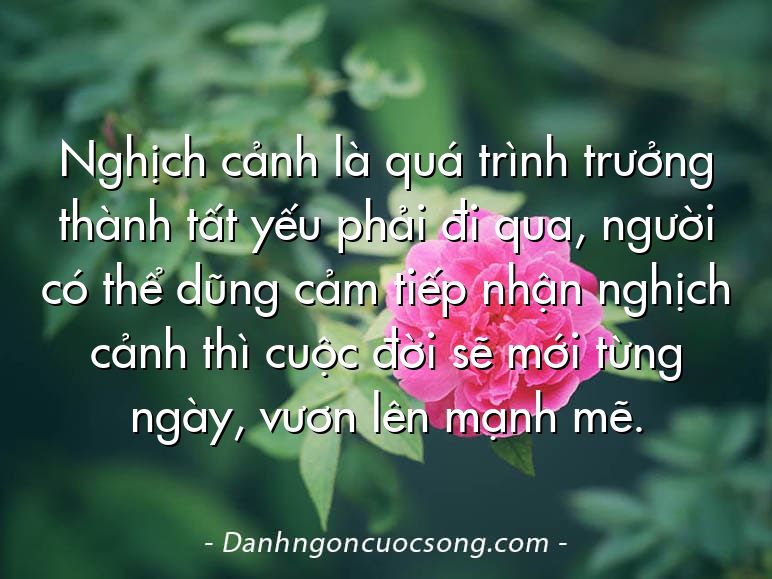Nghịch cảnh là quá trình trưởng thành tất yếu phải đi qua, người có thể dũng cảm tiếp nhận nghịch cảnh thì cuộc đời sẽ mới từng ngày, vươn lên mạnh mẽ.