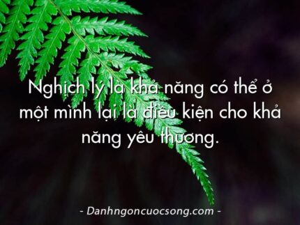 Nghịch lý là khả năng có thể ở một mình lại là điều kiện cho khả năng yêu thương.