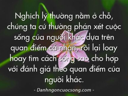 Nghịch lý thường nằm ở chỗ, chúng ta cứ thường phán xét cuộc sống của người khác dựa trên quan điểm cá nhân, rồi lại loay hoay tìm cách sống sao cho hợp với đánh giá theo quan điểm của người khác.