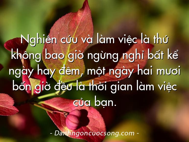 Nghiên cứu và làm việc là thứ không bao giờ ngừng nghỉ bất kể ngày hay đêm, một ngày hai mươi bốn giờ đều là thời gian làm việc của bạn.