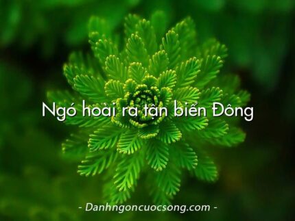 Ngó hoài ra tận biển Đông
