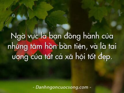 Ngờ vực là bạn đồng hành của những tâm hồn bần tiện, và là tai ương của tất cả xã hội tốt đẹp.