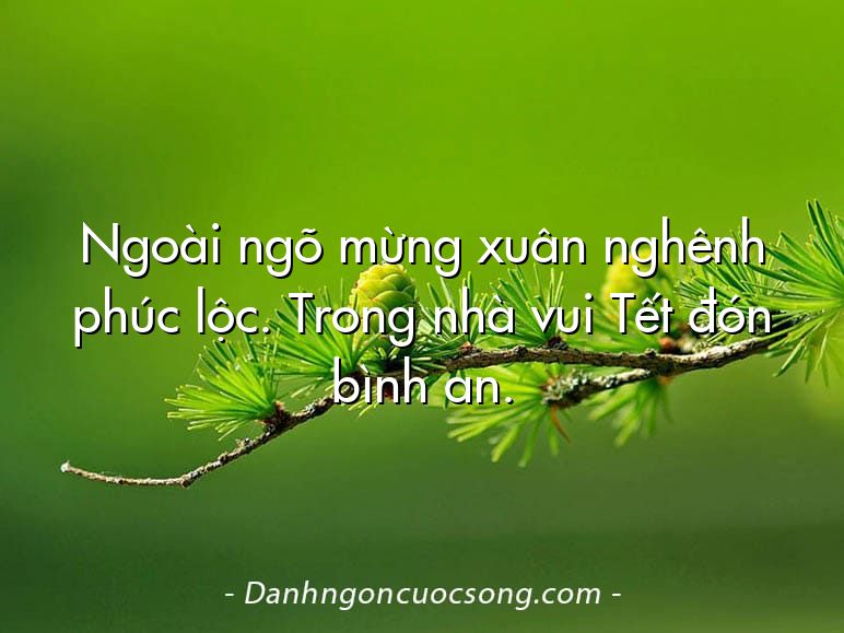 Ngoài ngõ mừng xuân nghênh phúc lộc. Trong nhà vui Tết đón bình an.
