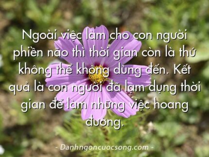 Ngoài việc làm cho con người phiền não thì thời gian còn là thứ không thể không dùng đến. Kết quả là con người đã lạm dụng thời gian để làm những việc hoang đường.