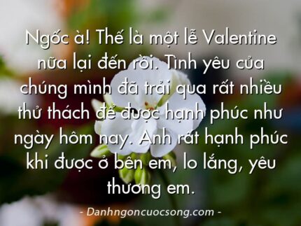 Ngốc à! Thế là một lễ Valentine nữa lại đến rồi. Tình yêu của chúng mình đã trải qua rất nhiều thử thách để được hạnh phúc như ngày hôm nay. Anh rất hạnh phúc khi được ở bên em, lo lắng, yêu thương em.