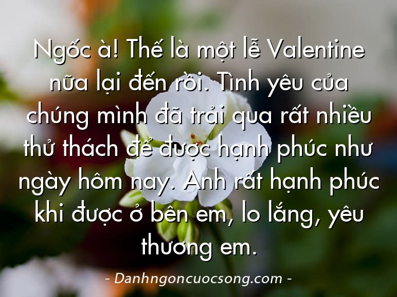 Ngốc à! Thế là một lễ Valentine nữa lại đến rồi. Tình yêu của chúng mình đã trải qua rất nhiều thử thách để được hạnh phúc như ngày hôm nay. Anh rất hạnh phúc khi được ở bên em, lo lắng, yêu thương em.