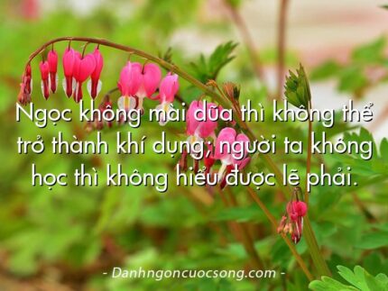 Ngọc không mài dũa thì không thể trở thành khí dụng; người ta không học thì không hiểu được lẽ phải.