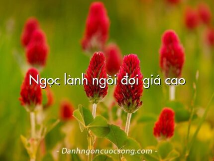 Ngọc lành ngồi đợi giá cao