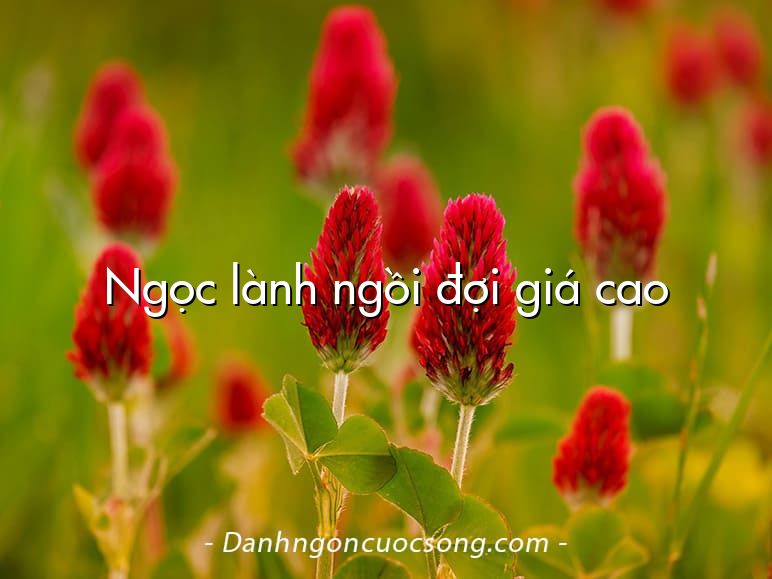 Ngọc lành ngồi đợi giá cao