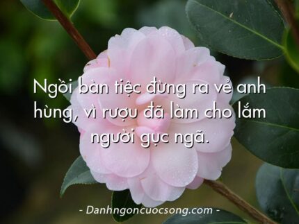 Ngồi bàn tiệc đừng ra vẻ anh hùng, vì rượu đã làm cho lắm người gục ngã.