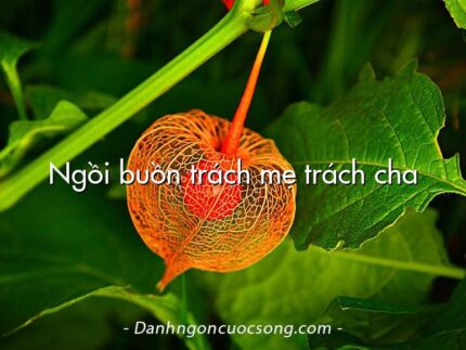 Ngồi buồn trách mẹ trách cha