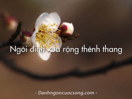 Ngôi đình xưa rộng thênh thang