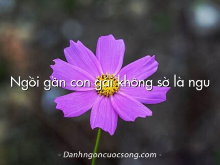 Ngồi gần con gái không sờ là ngu