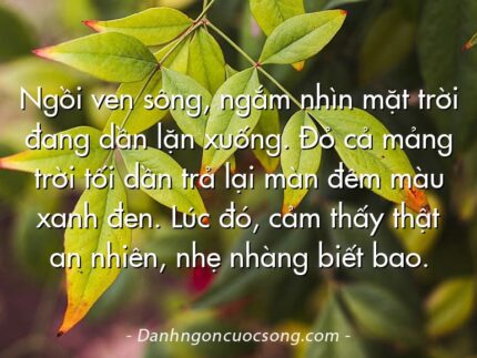 Ngồi ven sông, ngắm nhìn mặt trời đang dần lặn xuống. Đỏ cả mảng trời tối dần trả lại màn đêm màu xanh đen. Lúc đó, cảm thấy thật an nhiên, nhẹ nhàng biết bao.