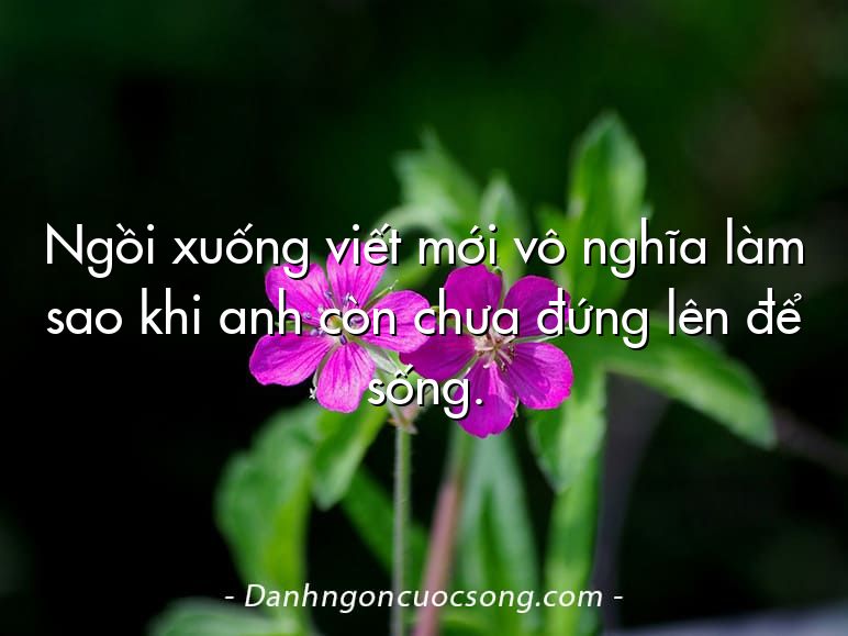 Ngồi xuống viết mới vô nghĩa làm sao khi anh còn chưa đứng lên để sống.