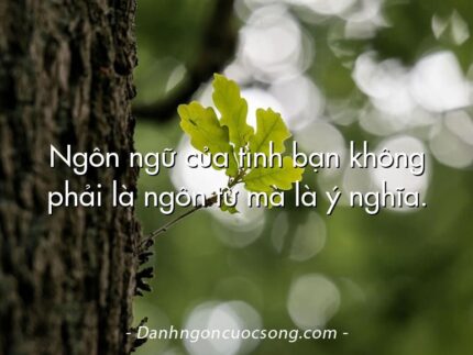 Ngôn ngữ của tình bạn không phải là ngôn từ mà là ý nghĩa.