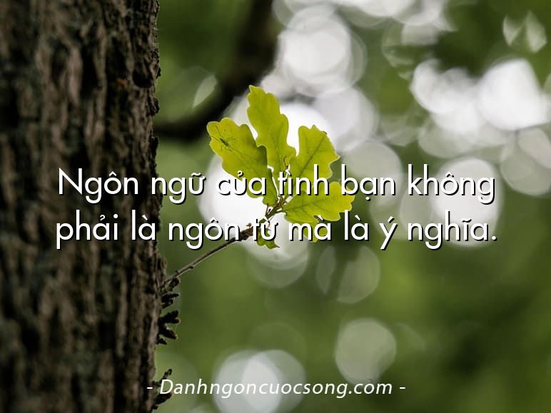 Ngôn ngữ của tình bạn không phải là ngôn từ mà là ý nghĩa.