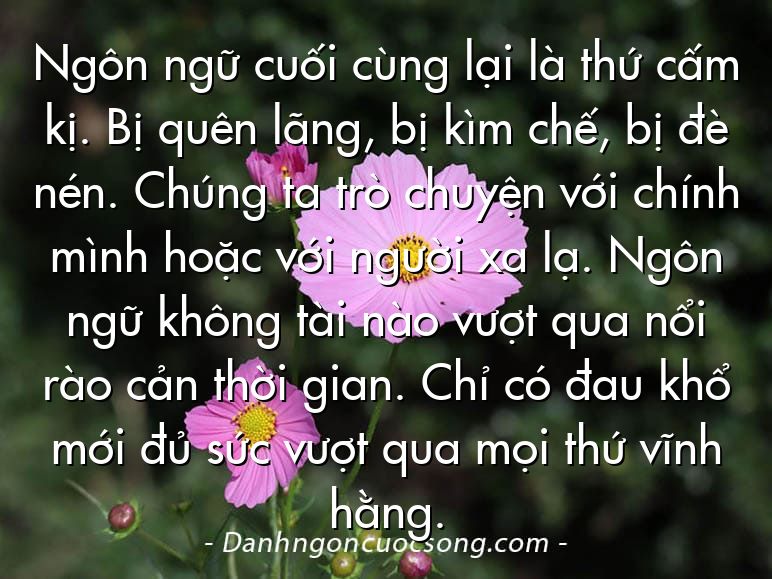 Ngôn ngữ cuối cùng lại là thứ cấm kị. Bị quên lãng, bị kìm chế, bị đè nén. Chúng ta trò chuyện với chính mình hoặc với người xa lạ. Ngôn ngữ không tài nào vượt qua nổi rào cản thời gian. Chỉ có đau khổ mới đủ sức vượt qua mọi thứ vĩnh hằng.