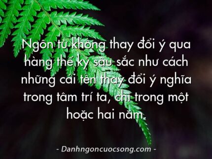 Ngôn từ không thay đổi ý qua hàng thế kỷ sâu sắc như cách những cái tên thay đổi ý nghĩa trong tâm trí ta, chỉ trong một hoặc hai năm.