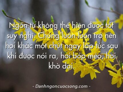 Ngôn từ không thể hiện được tốt suy nghĩ. Chúng luôn luôn trở nên hơi khác một chút ngay lập tức sau khi được nói ra, hơi bóp méo, hơi khờ dại.