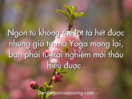 Ngôn từ không thể lột tả hết được những giá trị mà Yoga mang lại, bạn phải tự trải nghiệm mới thấu hiểu được .