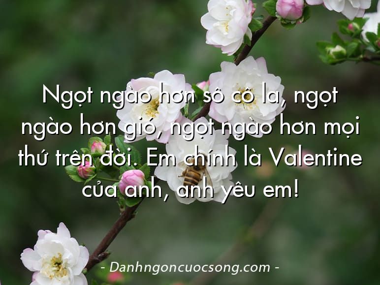Ngọt ngào hơn sô cô la, ngọt ngào hơn gió, ngọt ngào hơn mọi thứ trên đời. Em chính là Valentine của anh, anh yêu em!