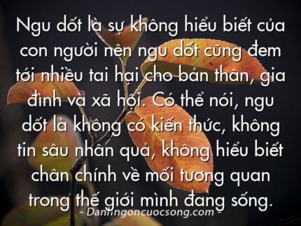 Ngu dốt là sự không hiểu biết của con người nên ngu dốt cũng đem tới nhiều tai hại cho bản thân, gia đình và xã hội. Có thể nói, ngu dốt là không có kiến thức, không tin sâu nhân quả, không hiểu biết chân chính về mối tương quan trong thế giới mình đang sống.