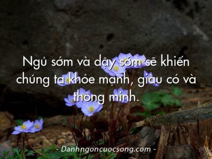 Ngủ sớm và dậy sớm sẽ khiến chúng ta khỏe mạnh, giàu có và thông minh.