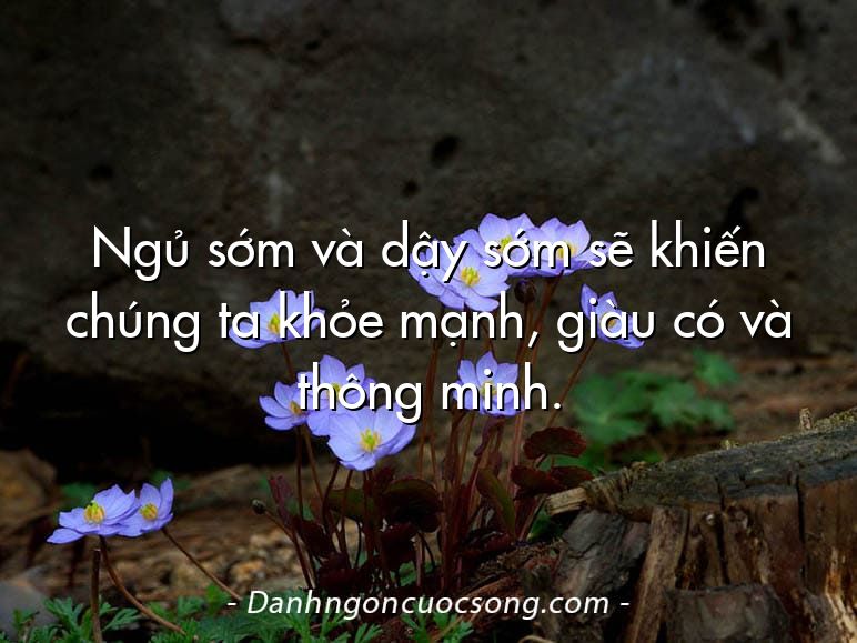 Ngủ sớm và dậy sớm sẽ khiến chúng ta khỏe mạnh, giàu có và thông minh.