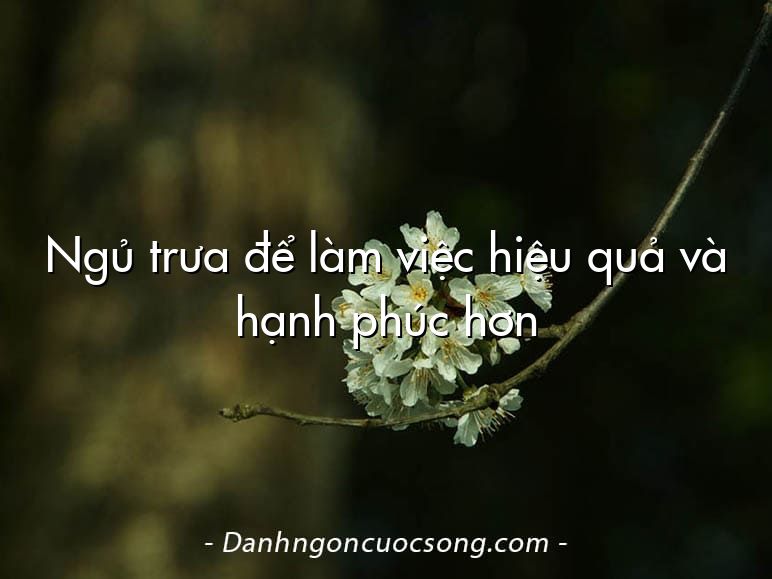 Ngủ trưa để làm việc hiệu quả và hạnh phúc hơn