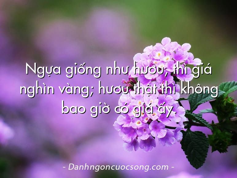 Ngựa giống như hươu, thì giá nghìn vàng; hươu thật thì không bao giờ có giá ấy.