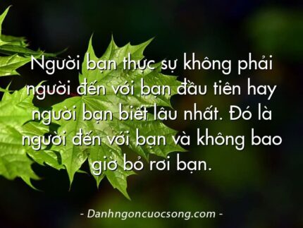 Người bạn thực sự không phải người đến với bạn đầu tiên hay người bạn biết lâu nhất. Đó là người đến với bạn và không bao giờ bỏ rơi bạn.
