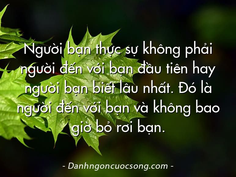 Người bạn thực sự không phải người đến với bạn đầu tiên hay người bạn biết lâu nhất. Đó là người đến với bạn và không bao giờ bỏ rơi bạn.