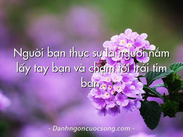 Người bạn thực sự là người nắm lấy tay bạn và chạm tới trái tim bạn.