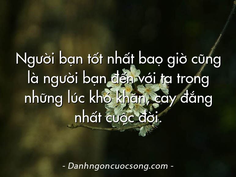 Người bạn tốt nhất baọ giờ cũng là người bạn đến với ta trong những lúc khó khăn, cay đắng nhất cuộc đời.